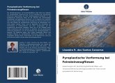 Pyroplastische Verformung bei Feinsteinzeugfliesen Pyroplastische Verformung bei Feinsteinzeugfliesen
