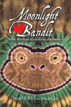 Cover Moonlight Bandit