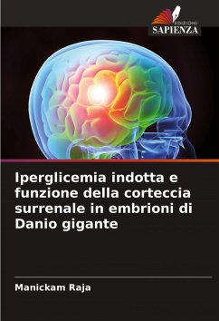 Cover Iperglicemia indotta e funzione della corteccia surrenale in embrioni di Danio gigante
