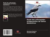 Étude des arthropodes ectoparasites de Gallus domesticus Étude des arthropodes ectoparasites de Gallus domesticus