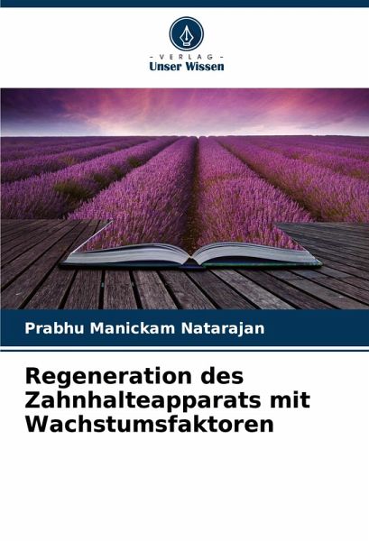 Regeneration des Zahnhalteapparats mit Wachstumsfaktoren
