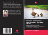 Controlo biológico da mosca branca Bemisia tabaci Controlo biológico da mosca branca Bemisia tabaci