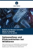 Salmonellose und Pilzkrankheiten bei Wildtieren