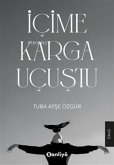 Icime Karga Ucustu