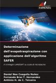 Determinazione dell'evapotraspirazione con applicazione dell'algoritmo SAFER Determinazione dell'evapotraspirazione con applicazione dell'algoritmo SAFER