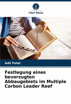 Cover Festlegung eines bevorzugten Abbaugebiets im Multiple Carbon Leader Reef