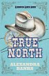 True North - Bild 1