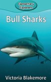 Bull Sharks
