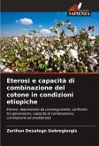 Eterosi e capacità di combinazione del cotone in condizioni etiopiche Eterosi e capacità di combinazione del cotone in condizioni etiopiche