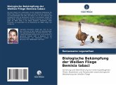 Biologische Bekämpfung der Weißen Fliege Bemisia tabaci Biologische Bekämpfung der Weißen Fliege Bemisia tabaci