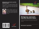 Biologiczne zwalczanie m¿czlika Bemisia tabaci Biologiczne zwalczanie m¿czlika Bemisia tabaci