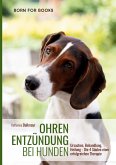 Ohrenentzündung bei Hunden