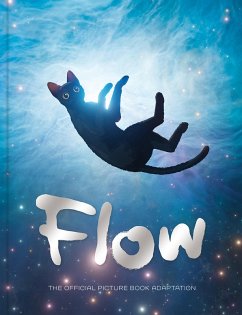 Flow Picture Book (eBook, ePUB) Cover Flow Picture Book (eBook, ePUB)
