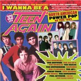 I Wanna Be A Teen Again-American Power Pop 1980-89 I Wanna Be A Teen Again-American Power Pop 1980-89