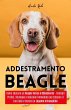 Addestramento Beagle: Come Educare un... - Bild 1