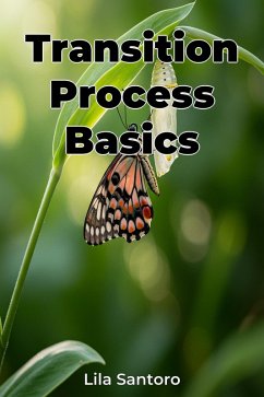 Transition Process Basics (eBook, ePUB) - Santoro, Lila