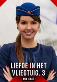 Liefde in het vliegtuig. 3 (eBook, ePUB)