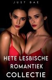 Hete Lesbische Romantiek Collectie Hete Lesbische Romantiek Collectie