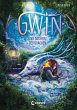 Gwin und das Herz des Drachen (Band 1)... - Bild 1