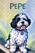 Pepe - Bild 1