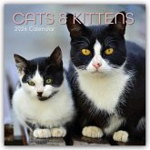 Cats and Kittens - Katzen und Kätzchen 2026 - 16-Monatskalender Cats and Kittens - Katzen und Kätzchen 2026 - 16-Monatskalender