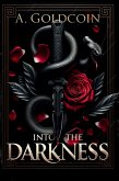 Into the Darkness