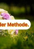 Der Diskurs Der Methode. (eBook, ePUB) Der Diskurs Der Methode. (eBook, ePUB)