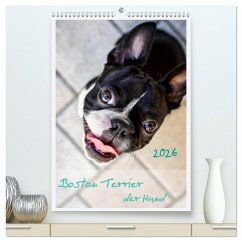Cover Boston Terrier der Hund 2026 (hochwertiger Premium Wandkalender 2026 DIN A2 hoch), Kunstdruck in Hochglanz