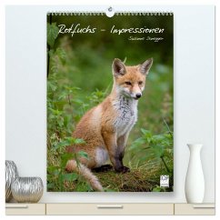 Cover Rotfuchs - Impressionen (hochwertiger Premium Wandkalender 2026 DIN A2 hoch), Kunstdruck in Hochglanz