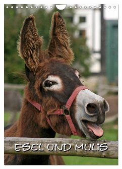 Esel und Mulis (Wandkalender 2026 DIN A4 hoch), CALVENDO Monatskalender