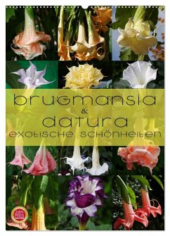 Cover Brugmansia & Datura - Exotische Schönheiten (Wandkalender 2026 DIN A2 hoch), CALVENDO Monatskalender