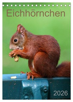 Eichhörnchen (Tischkalender 2026 DIN A5 hoch), CALVENDO Monatskalender Eichhörnchen (Tischkalender 2026 DIN A5 hoch), CALVENDO Monatskalender