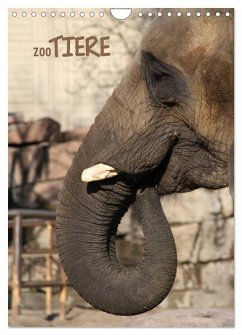 Cover Zootiere (Wandkalender 2026 DIN A4 hoch), CALVENDO Monatskalender