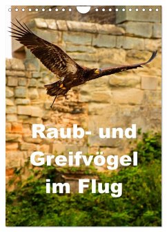 Raub- und Greifvögel im Flug (Wandkalender 2026 DIN A4 hoch), CALVENDO Monatskalender Raub- und Greifvögel im Flug (Wandkalender 2026 DIN A4 hoch), CALVENDO Monatskalender