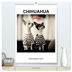 CHIHUAHUA CHIC Photos Marion Koell (hochwertiger Premium Wandkalender 2026 DIN A2 hoch), Kunstdruck in Hochglanz CHIHUAHUA CHIC Photos Marion Koell (hochwertiger Premium Wandkalender 2026 DIN A2 hoch), Kunstdruck in Hochglanz