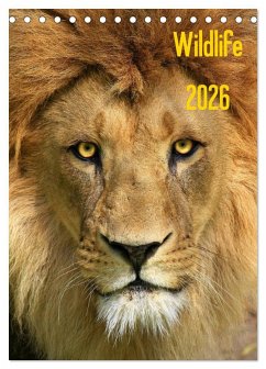 Wildlife 2026 (Tischkalender 2026 DIN A5 hoch), CALVENDO Monatskalender