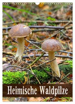 Heimische Waldpilze (Wandkalender 2026 DIN A3 hoch), CALVENDO Monatskalender