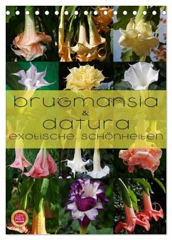 Cover Brugmansia & Datura - Exotische Schönheiten (Tischkalender 2026 DIN A5 hoch), CALVENDO Monatskalender