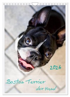 Cover Boston Terrier der Hund 2026 (Wandkalender 2026 DIN A4 hoch), CALVENDO Monatskalender