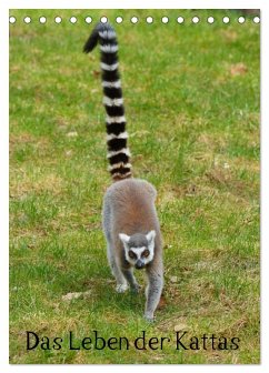 Cover Das Leben der Kattas (Tischkalender 2026 DIN A5 hoch), CALVENDO Monatskalender
