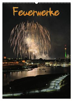 Cover Feuerwerke Terminplaner (Wandkalender 2026 DIN A2 hoch), CALVENDO Monatskalender