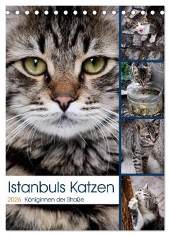 Istanbuls Katzen (Tischkalender 2026 DIN A5 hoch), CALVENDO Monatskalender
