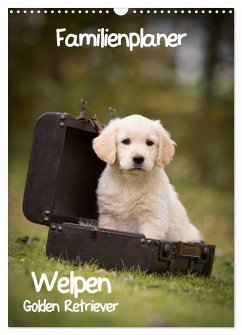 Familienplaner: Golden Retriever Welpen (Wandkalender 2026 DIN A3 hoch), CALVENDO Monatskalender Familienplaner: Golden Retriever Welpen (Wandkalender 2026 DIN A3 hoch), CALVENDO Monatskalender