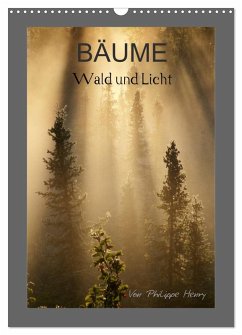 Cover BÄUME (Wandkalender 2026 DIN A3 hoch), CALVENDO Monatskalender