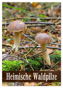 Heimische Waldpilze (Wandkalender 2026 DIN A2 hoch), CALVENDO Monatskalender