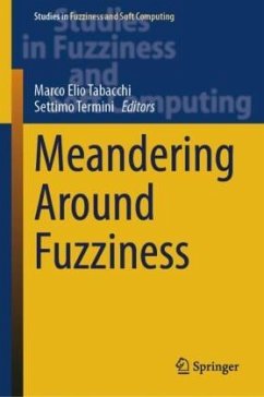 Cover Meandering Around Fuzziness