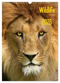 Wildlife 2026 (Wandkalender 2026 DIN A3 hoch), CALVENDO Monatskalender