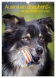 Australian Shepherd - Mit dem Aussie... - Bild 1