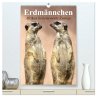 Erdmännchen - Afrikas liebenswerte... - Bild 1
