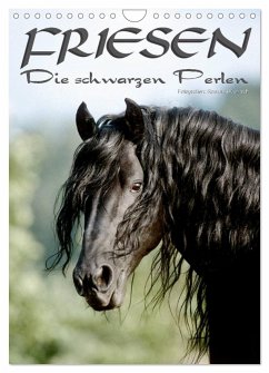 Friesen - die schwarzen Perlen (Wandkalender 2026 DIN A4 hoch), CALVENDO Monatskalender Friesen - die schwarzen Perlen (Wandkalender 2026 DIN A4 hoch), CALVENDO Monatskalender
